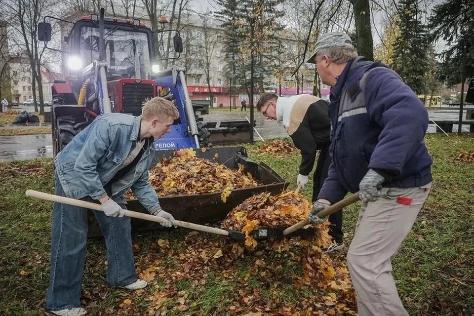 Эти листья позднее вернутся на улицы города. Фото: Дмитрий РУДАКОВ