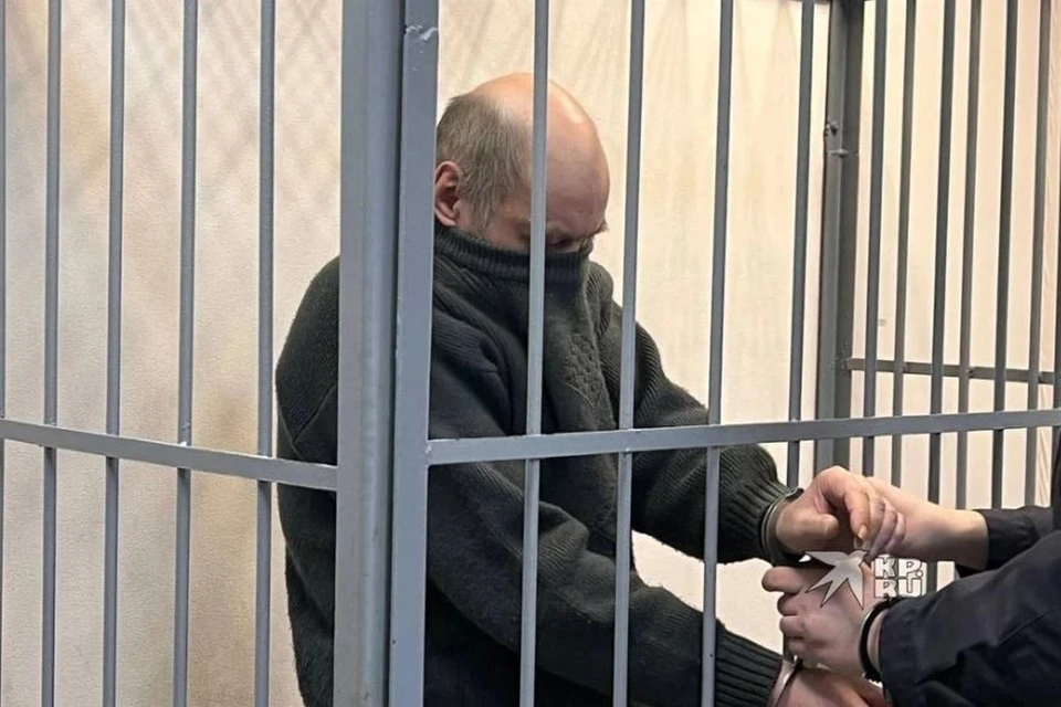 В январе 2026 года Владимира Смышляева вместе с подельником отправили на принудительное лечение