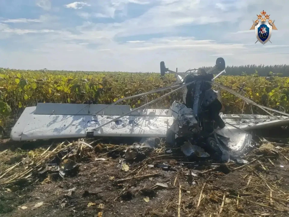 Под Ульяновском разбился пилот легкомоторного самолета | ФОТО: Центральное МСУТ СК России