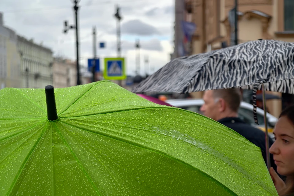 Фото: Алексей БУЛАТОВ