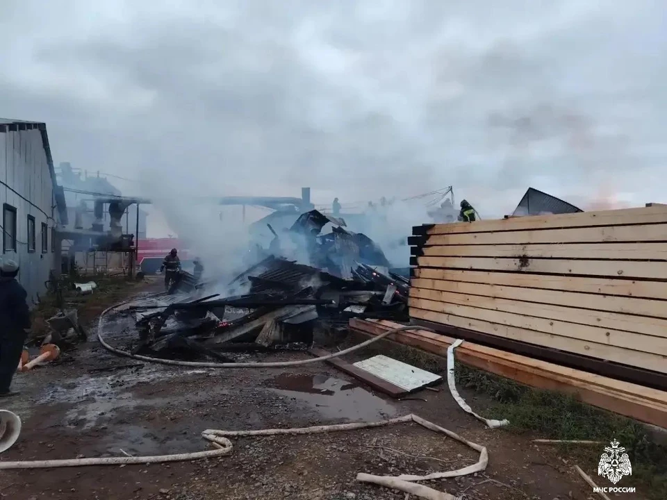 Фото: ГУ МЧС по Новосибирской области.