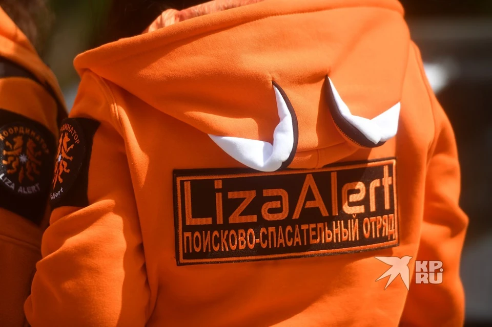 В поисках принимают участие добровольцы «ЛизаАлерт»