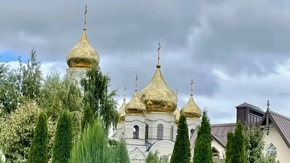 Фото: Соцсети Вячеслава Володина