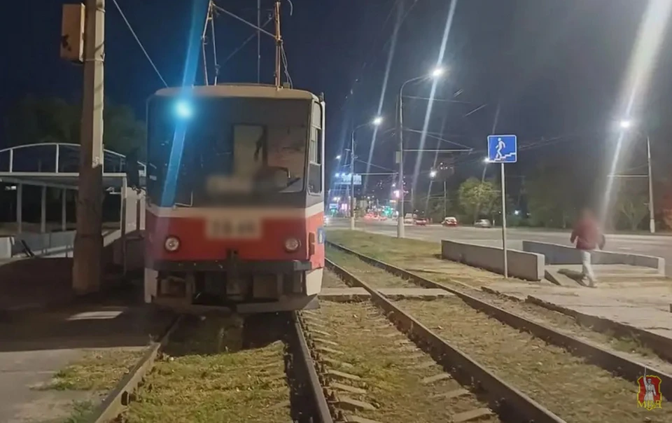 Фото: ГУ МВД по ВО.
