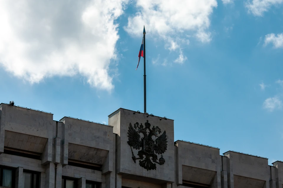 Правительство РФ на год освободило от проверок бизнес, пострадавший от атак БПЛА. Фото: Svetlana Vozmilova/GLOBAL LOOK PRESS