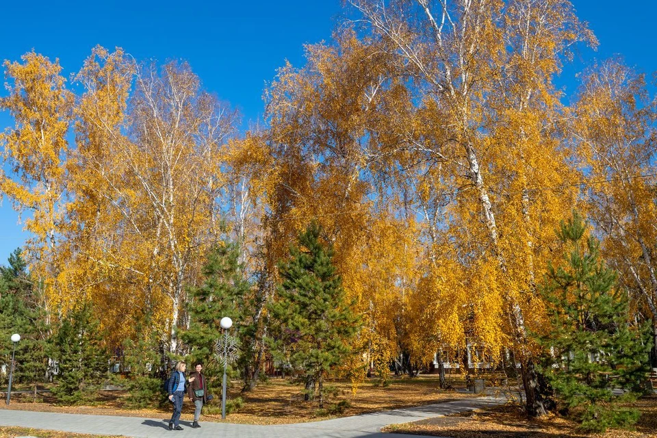 Узнали о самых главных изменениях октября-2026 в Беларуси. Фото: носит иллюстративный характер.