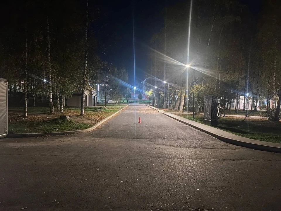 Фото: Госавтоинспекция Коми