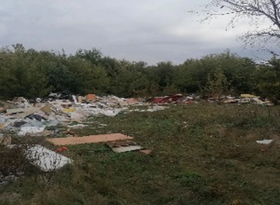 Фото управления Россельхознадзора по Рязанской и Тамбовской областям