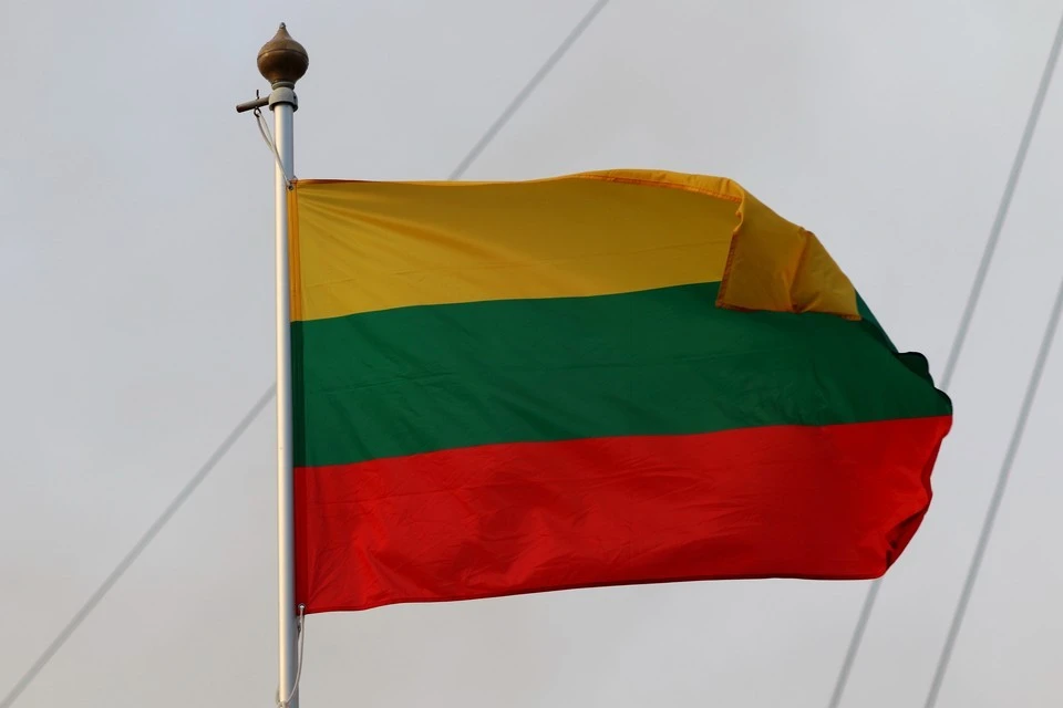 МИД Литвы предложил не впускать в страну физ- и юрлиц из РФ и Белоруссии, которые поддерживают СВО. Фото: Maksim Konstantinov/Global Look Press