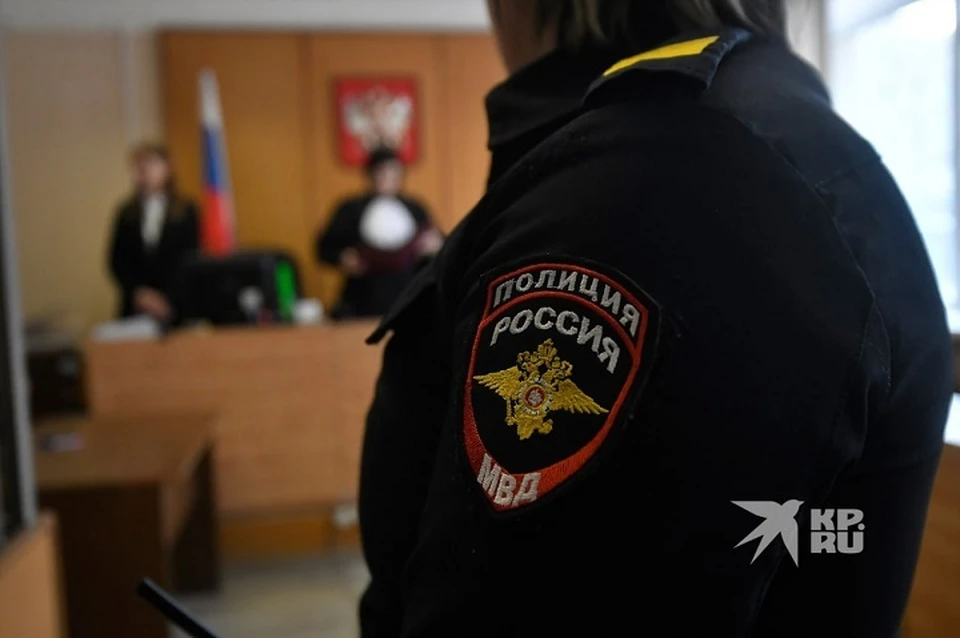 Суд отправил под административный арест дебошира