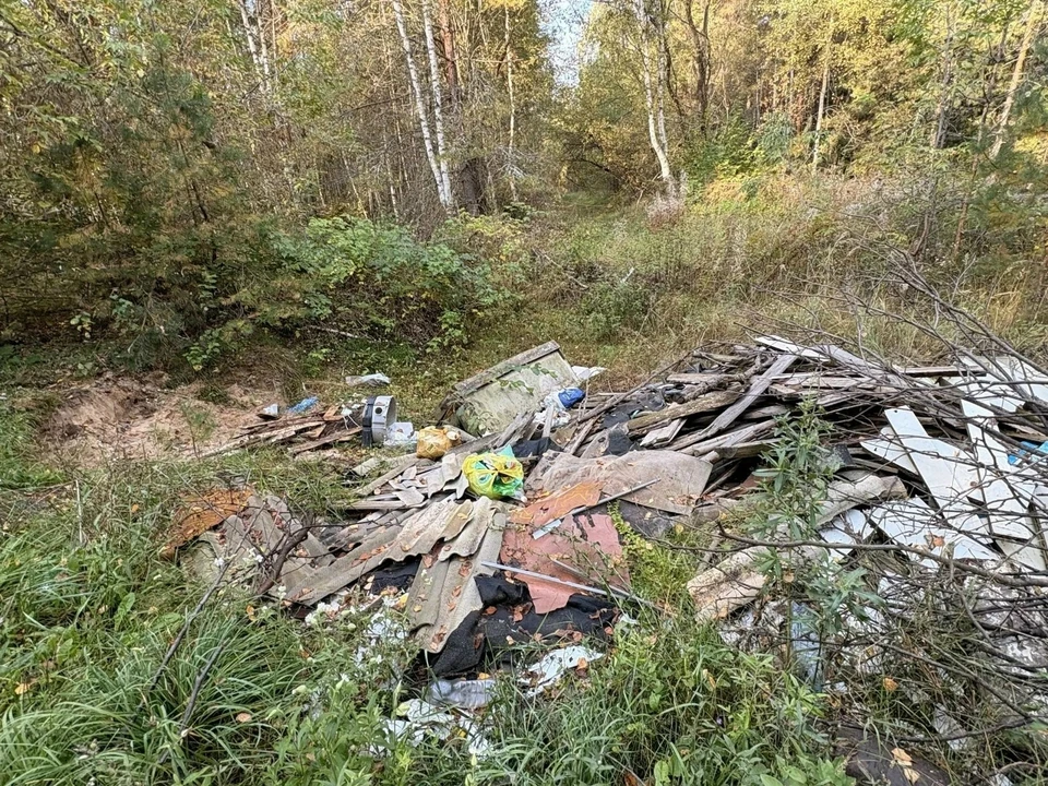 Фото: Прокуратура Владимирской области