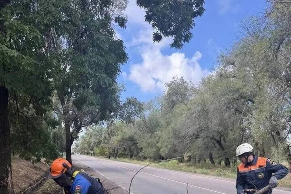 В Токмаке аварийно-восстановительная бригада из Пензенской области провела работы по расчистке охранной зоны линий электроснабжения. Фото: ТГ-канал "Дневник шефской помощи"