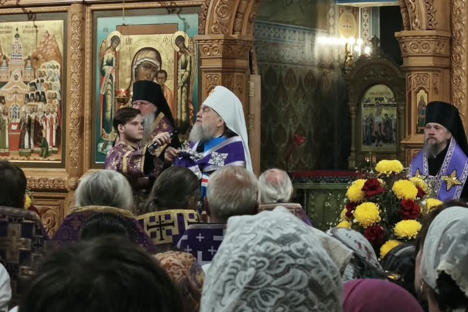 Представлено организаторами