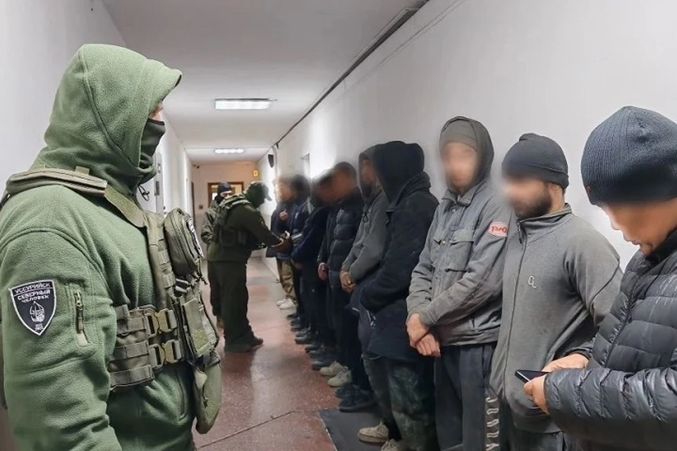 Две жительницы Приморья ответят в суде за легализацию 300 мигрантов