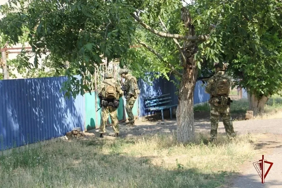 В регионе ежедневно изымают оружие, патроны и взрывчатку. Фото: Росгвардия
