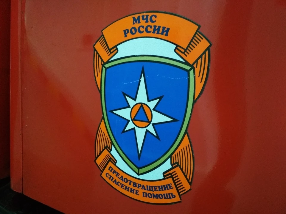 Возбуждено уголовное дело