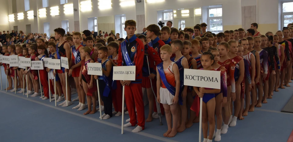 Источник: grad.kostroma.gov.ru