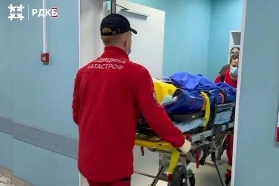 Мальчик получил множественные укушенные раны
