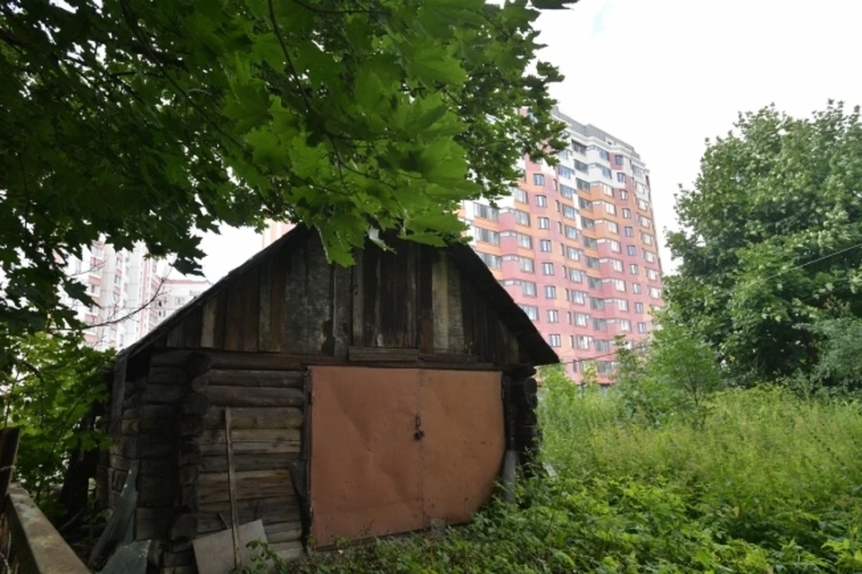 Фото носит иллюстративный характер