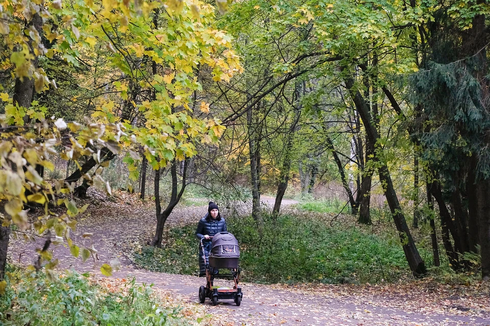 Петербург пережил самую холодную ночь с начала осени.