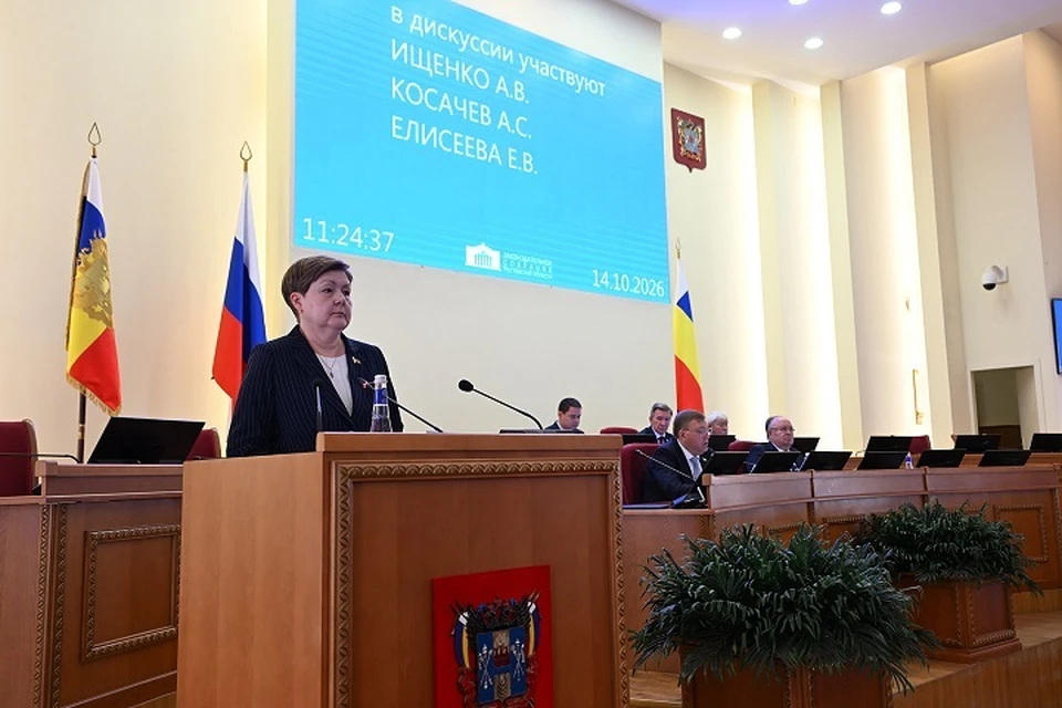 Депутаты донского парламента предлагают предусмотреть в федеральном законодательстве возможность компенсации понесенных затрат на билеты. Фото: Пресс-служба Заксобрания Ростовской области.