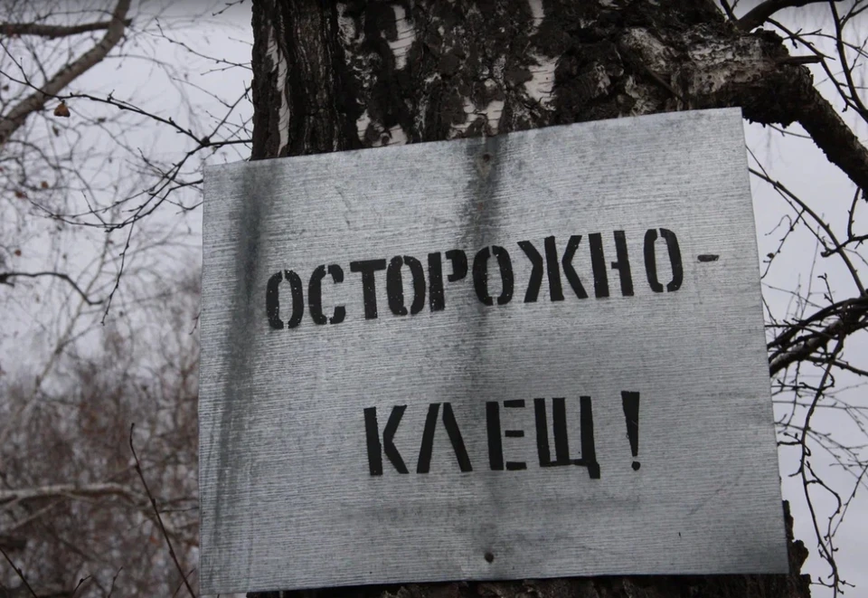 Всего с начала сезона в республике зафиксировали 3654 обращения по поводу клещей