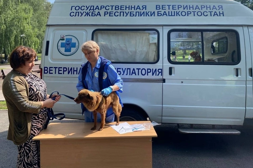Фото: Администрация Уфы