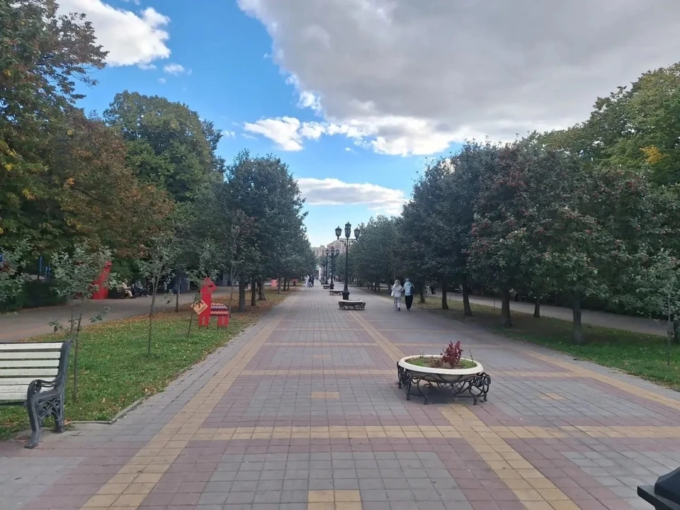 Экс-арендатор парка «Плевен» ответит за повреждение монумента «Дружба крылатая».