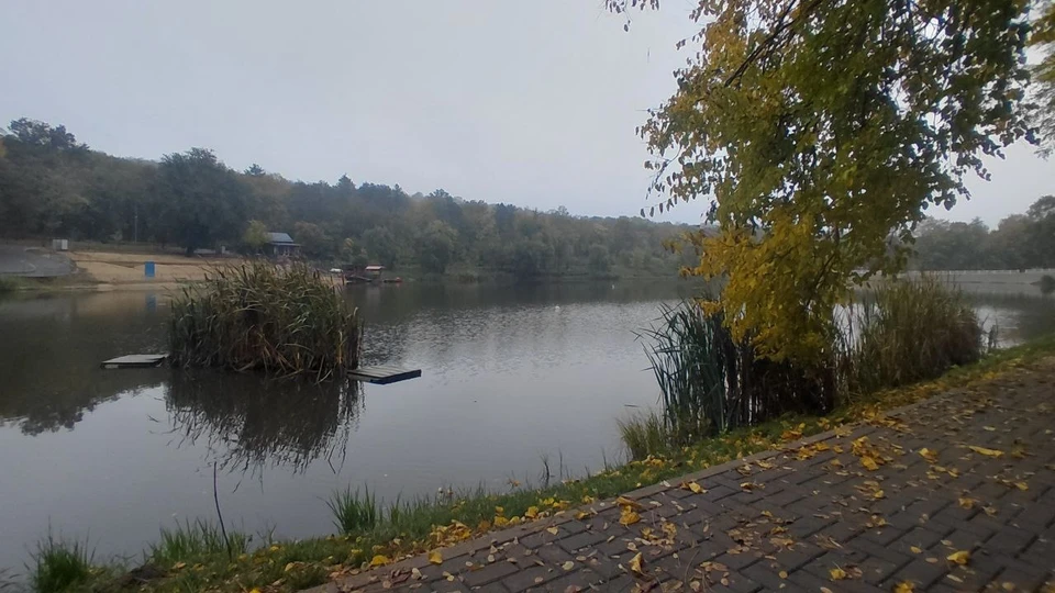 Фото: КП
