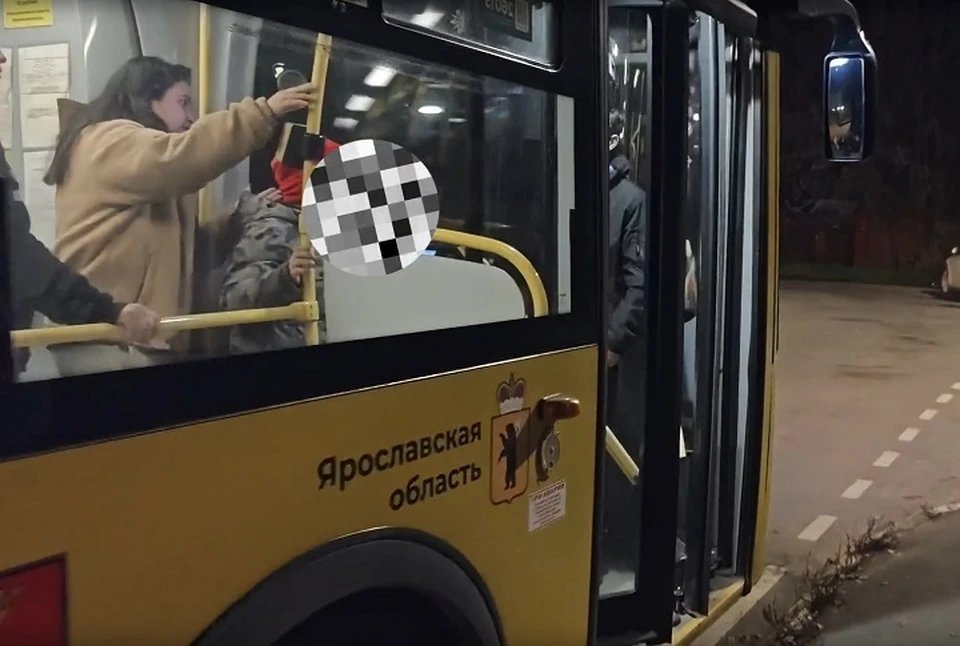 Найти пропавшего ребенка помог водитель автобуса. ФОТО: поисковый отряд "ЛизаАлерт" Ярославской области