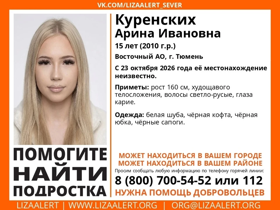 Фото: Поисковый отряд «ЛизаАлерт» Тюменской области.