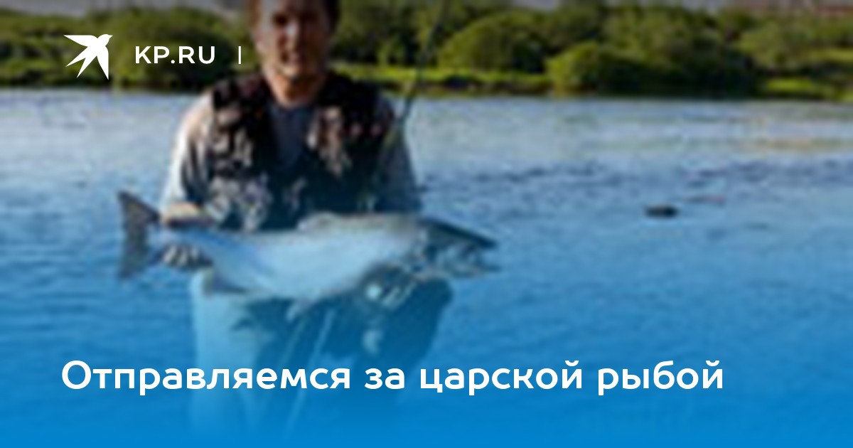 Видео о морской рыбалке в Мурманске