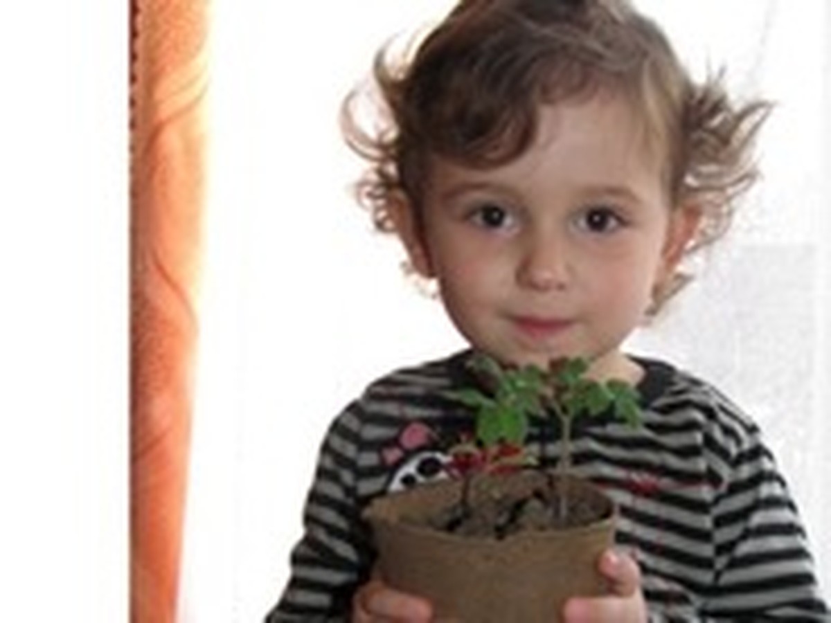 Выбирайте сорта с хорошей устойчивостью