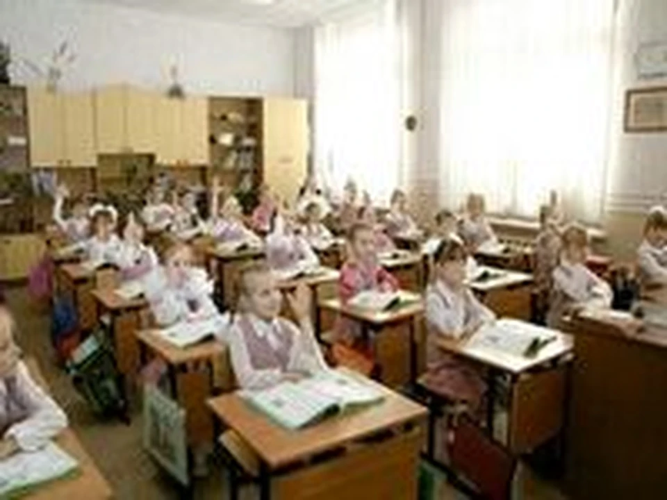 Сколько классов в гимназии