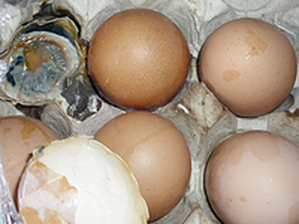 Вода с запахом тухлых яиц. Тухлое яйцо. Прелые яйца. Тухлые яйца в магазине. Гнилые яйца.