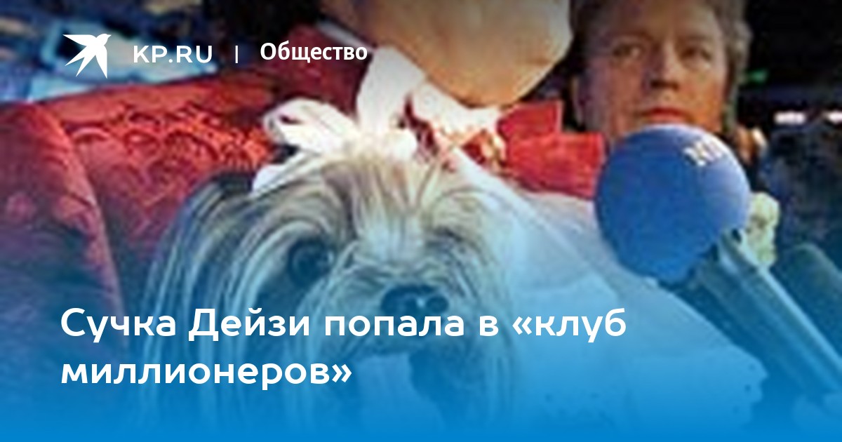 Проститутка, спавшая с Уэйном Руни, попала в больницу из-за передозировки - ecomamochka.ru