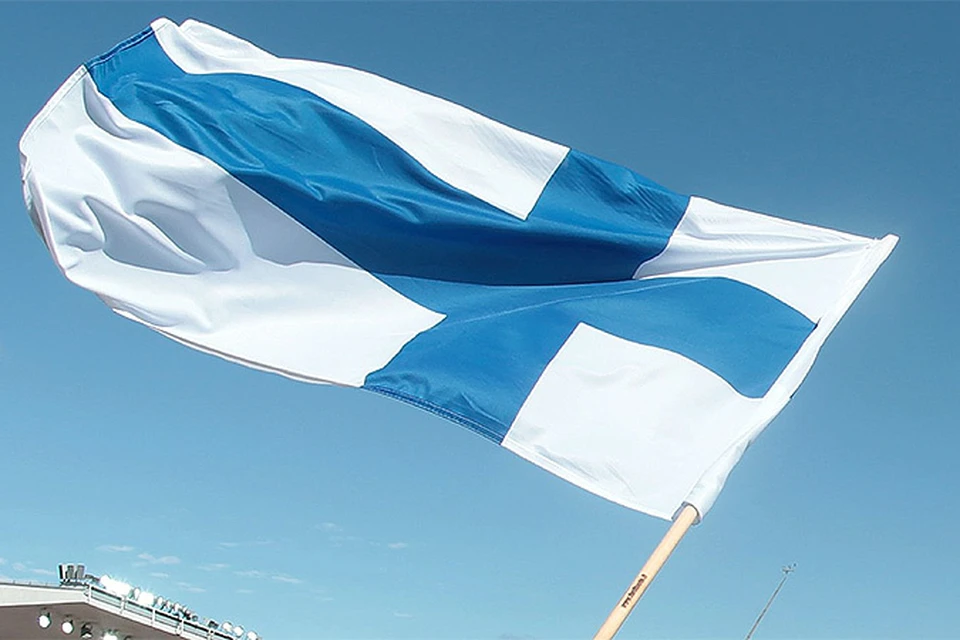 В Финляндии у россиянки забрали четырех детей, в том числе младенца