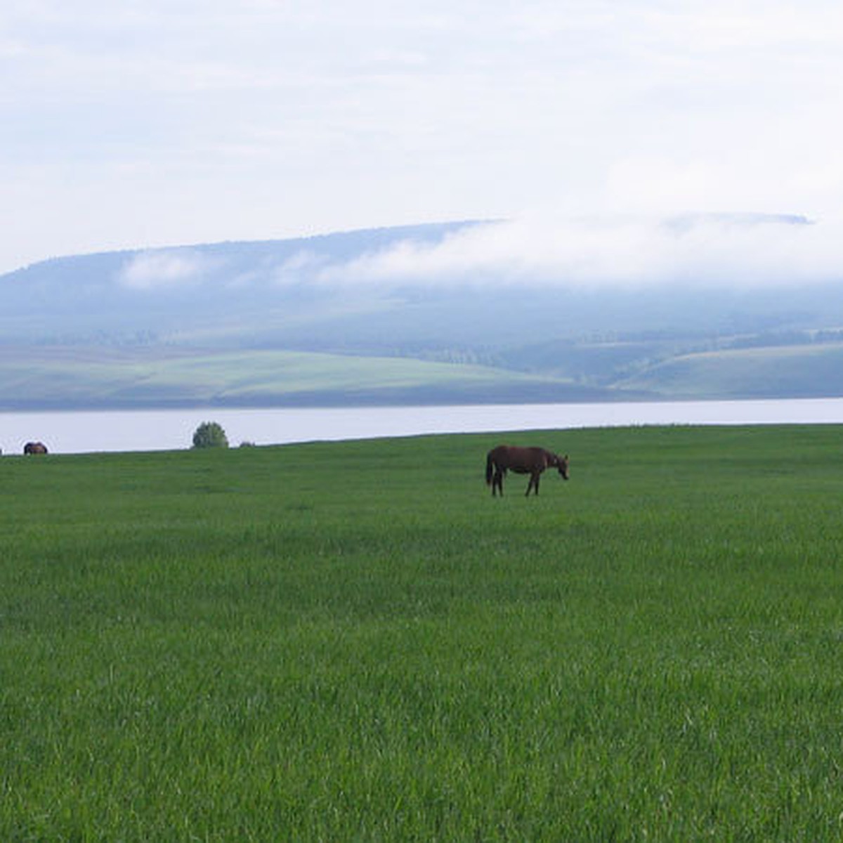 Деревня лузгина иркутская область. Посёлок оса иркутская область. Осинский р он. Осинский р он. Осинский р он.