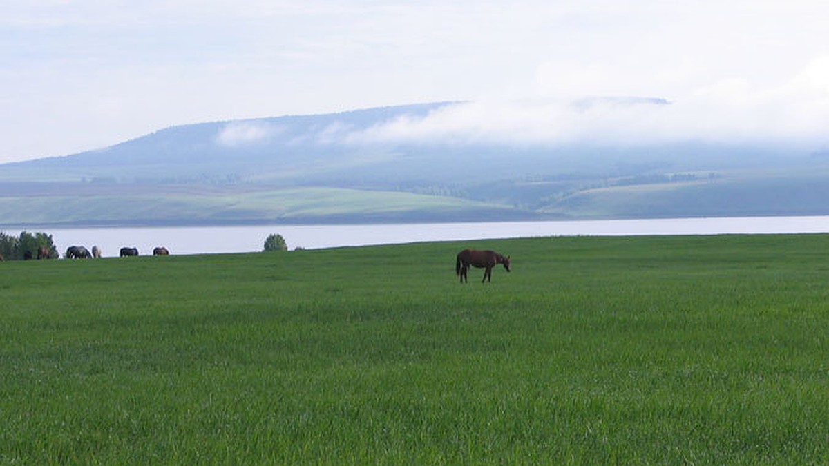 Поселок Оса: село с городским размахом - KP.RU