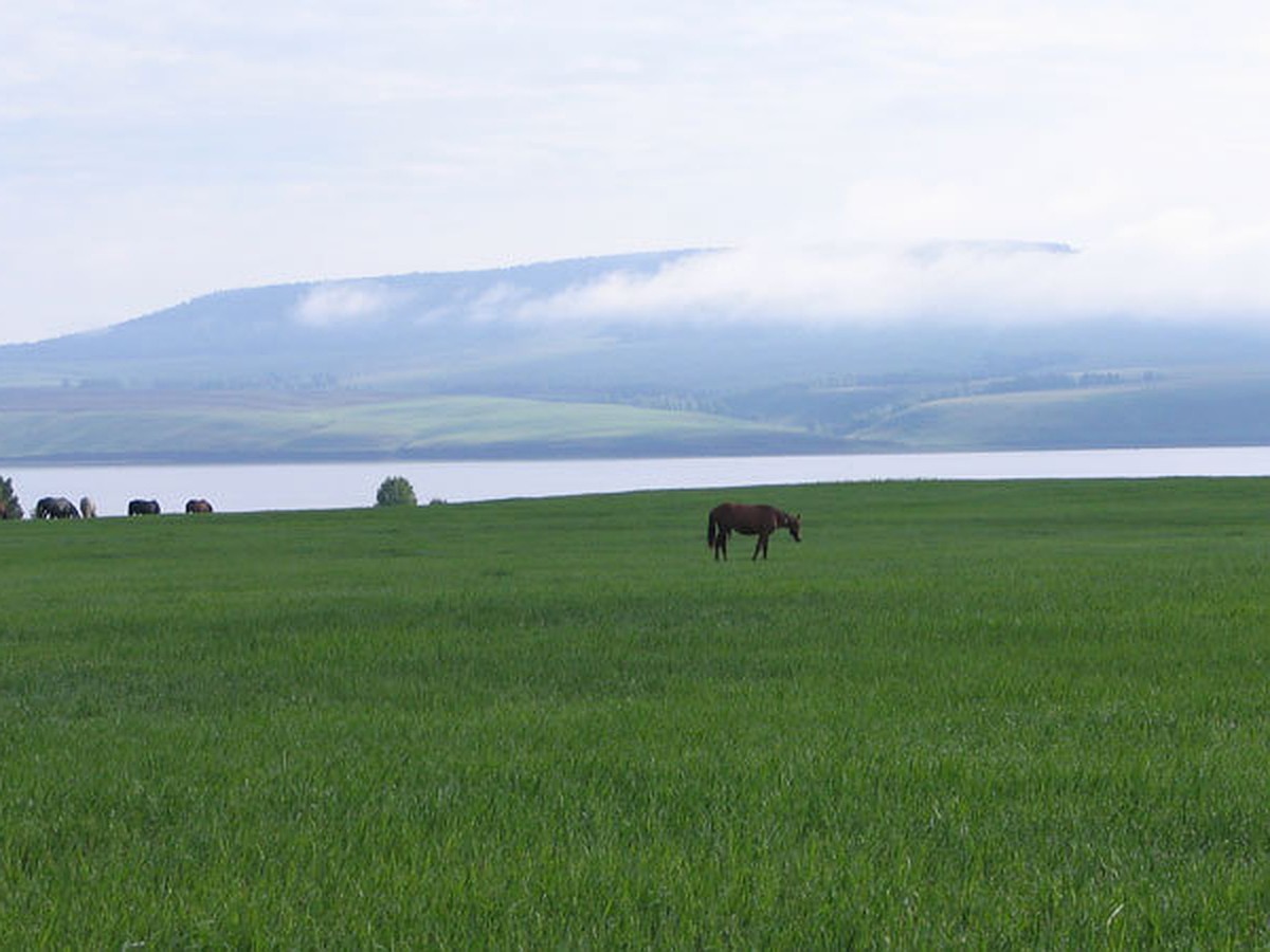 Поселок Оса: село с городским размахом - KP.RU