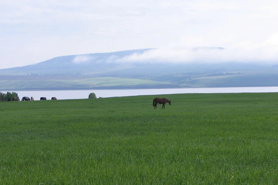 Село ос. Село улей Осинский район. Село Оса Осинский район природа. Улей Осинский район Иркутская область. Природа Осинского района Иркутской области.