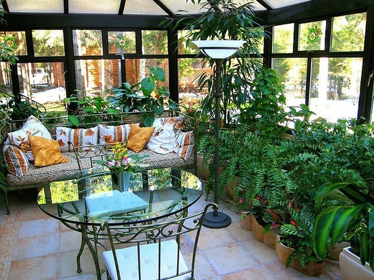 Оранжерея в Твоем Доме - широкий выбор растений со всего мира! - Твой Дом