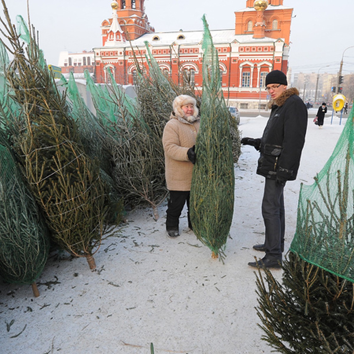 Елки в Перми стоят до 4 тысяч рублей - KP.RU