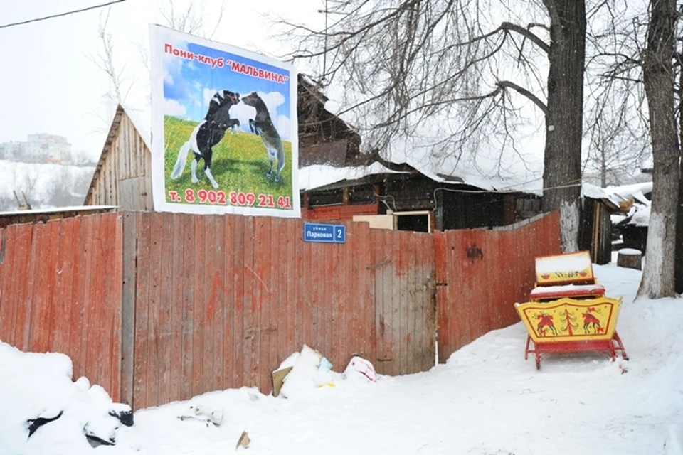 В этом пони-клубе и была убита 14-летняя Настя