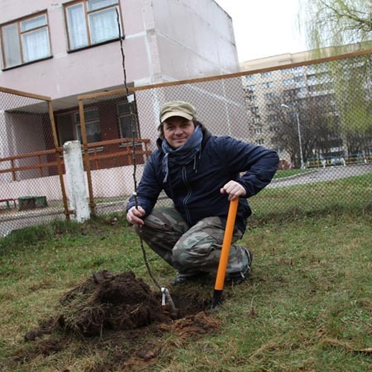 Как посадить яблоню в городском дворе? - KP.RU