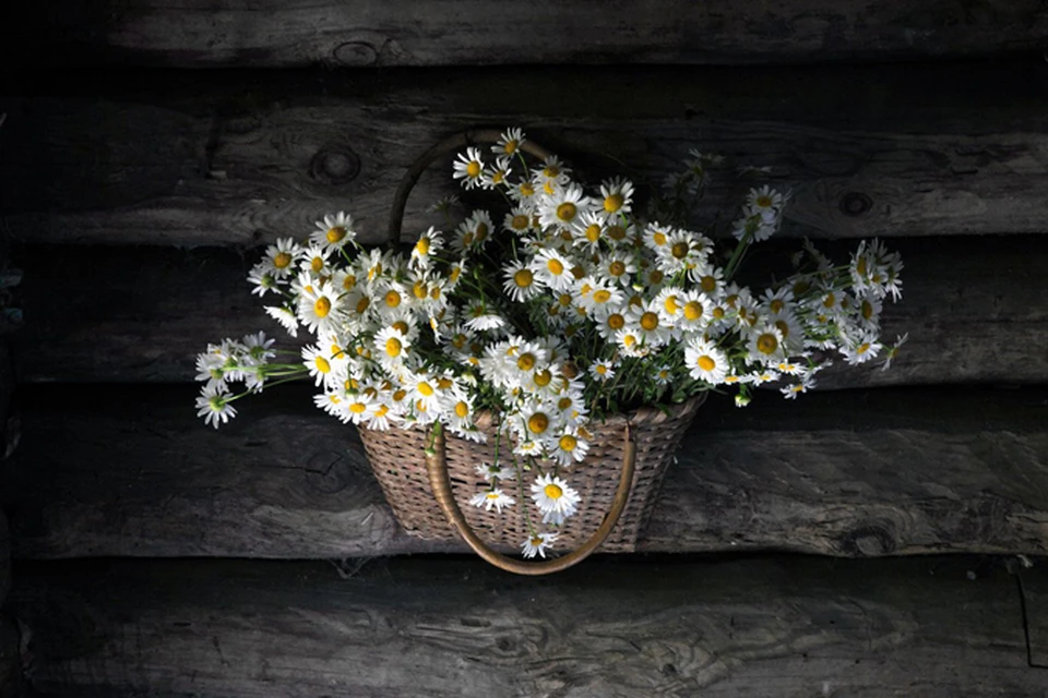 Лето - хороший повод для создания прекрасных фотографий!
