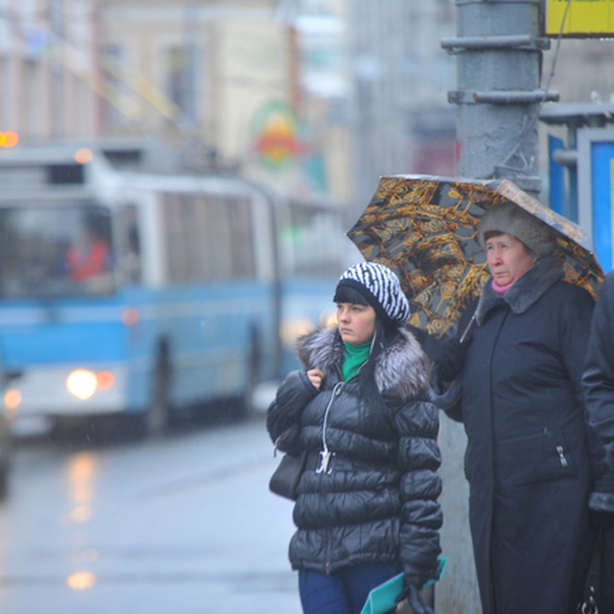 В сентябре в Ярославле проведут масштабный опрос пассажиров - KP.RU