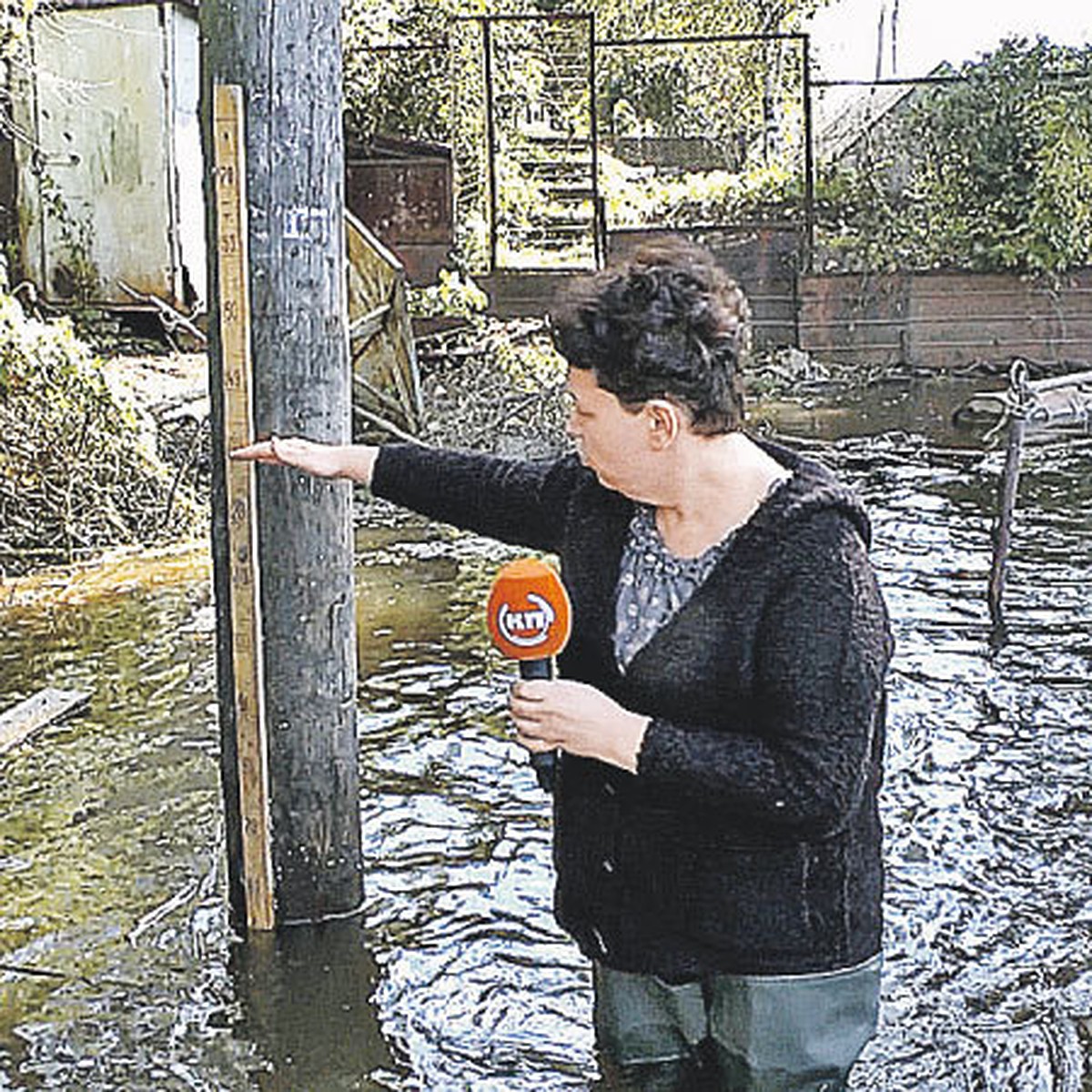 Амур три года копил аномальную воду - KP.RU