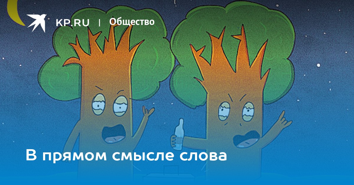 В прямом смысле слова. Многочлен в прямом смысле. Прямой. Рисунок в прямом смысле. Ледяной взгляд. Бомбит в прямом смысле.