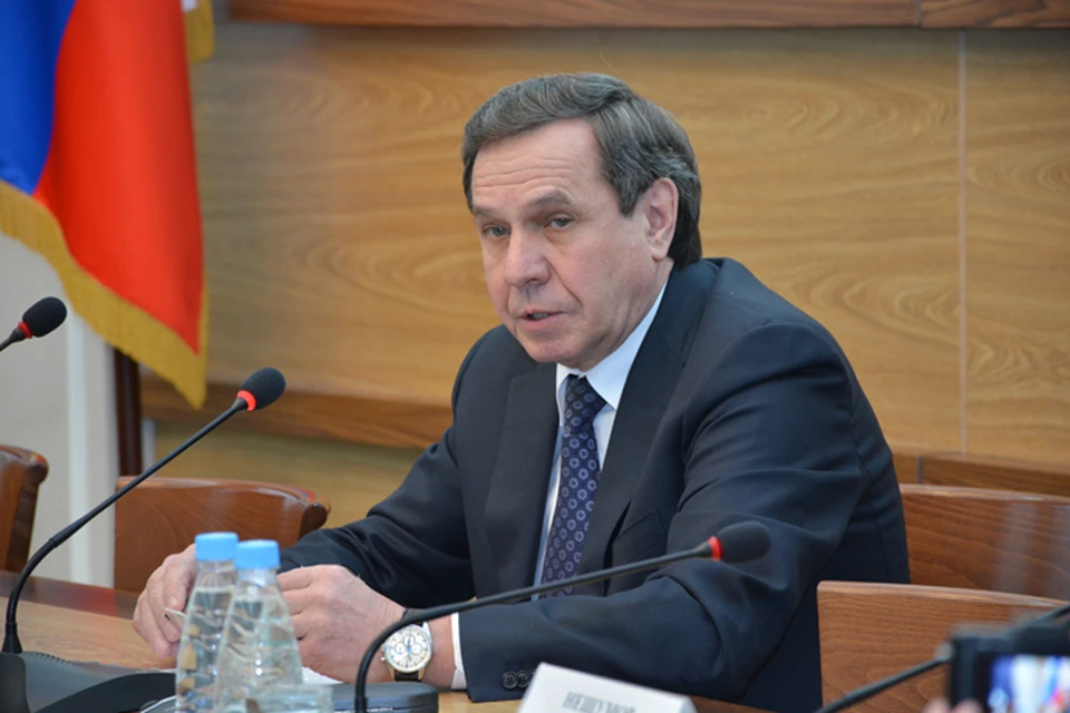 Владимир Городецкий пообещал, что в будущем году строительство детсадов продолжится.